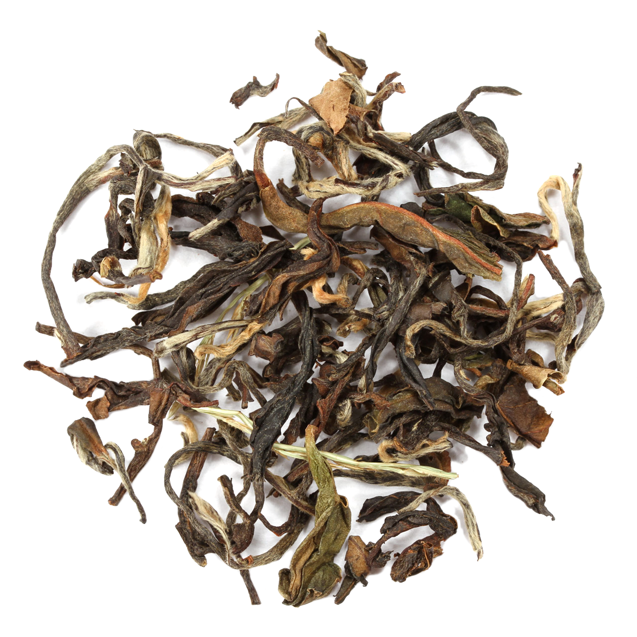 Darjeeling Puttabong