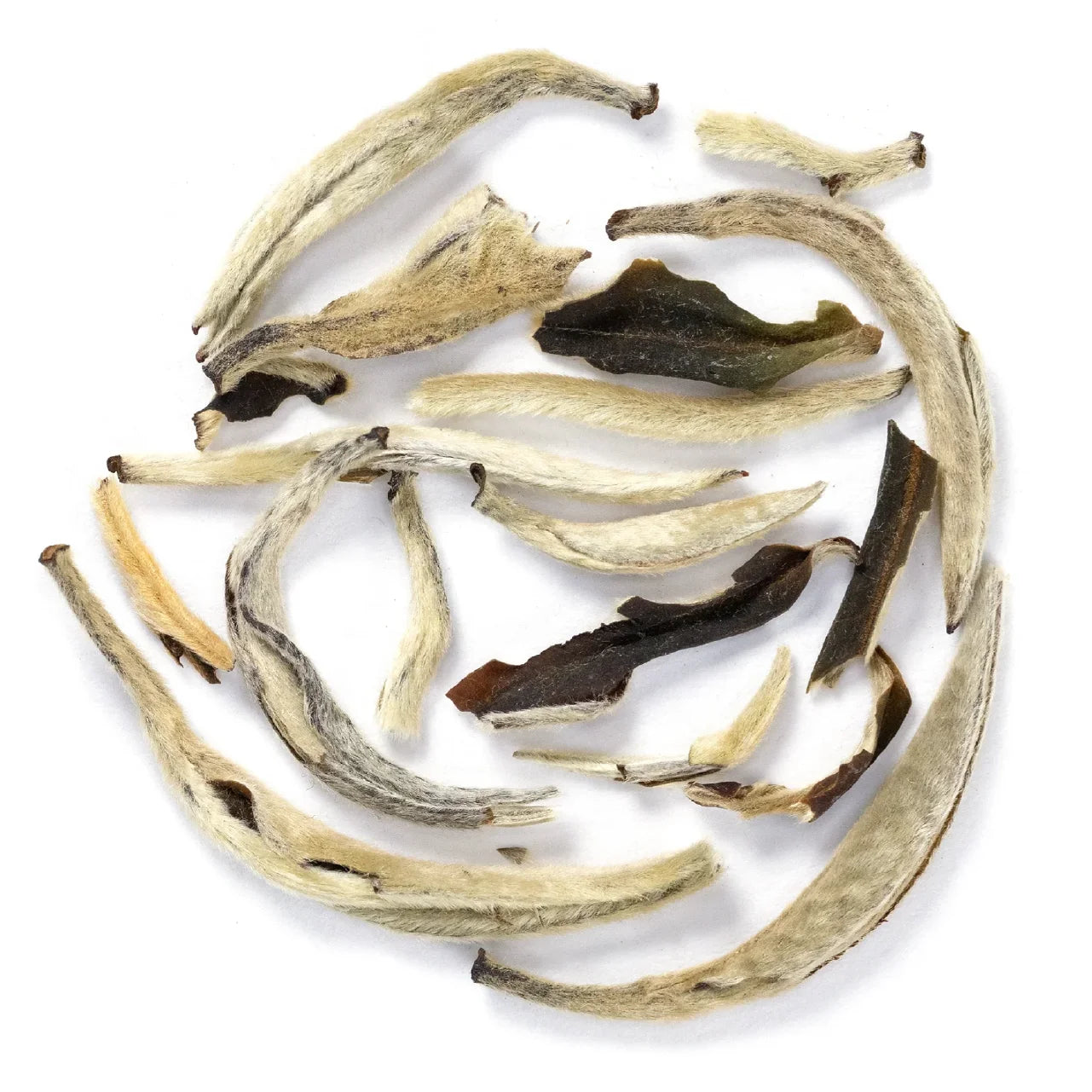 Silver Needle