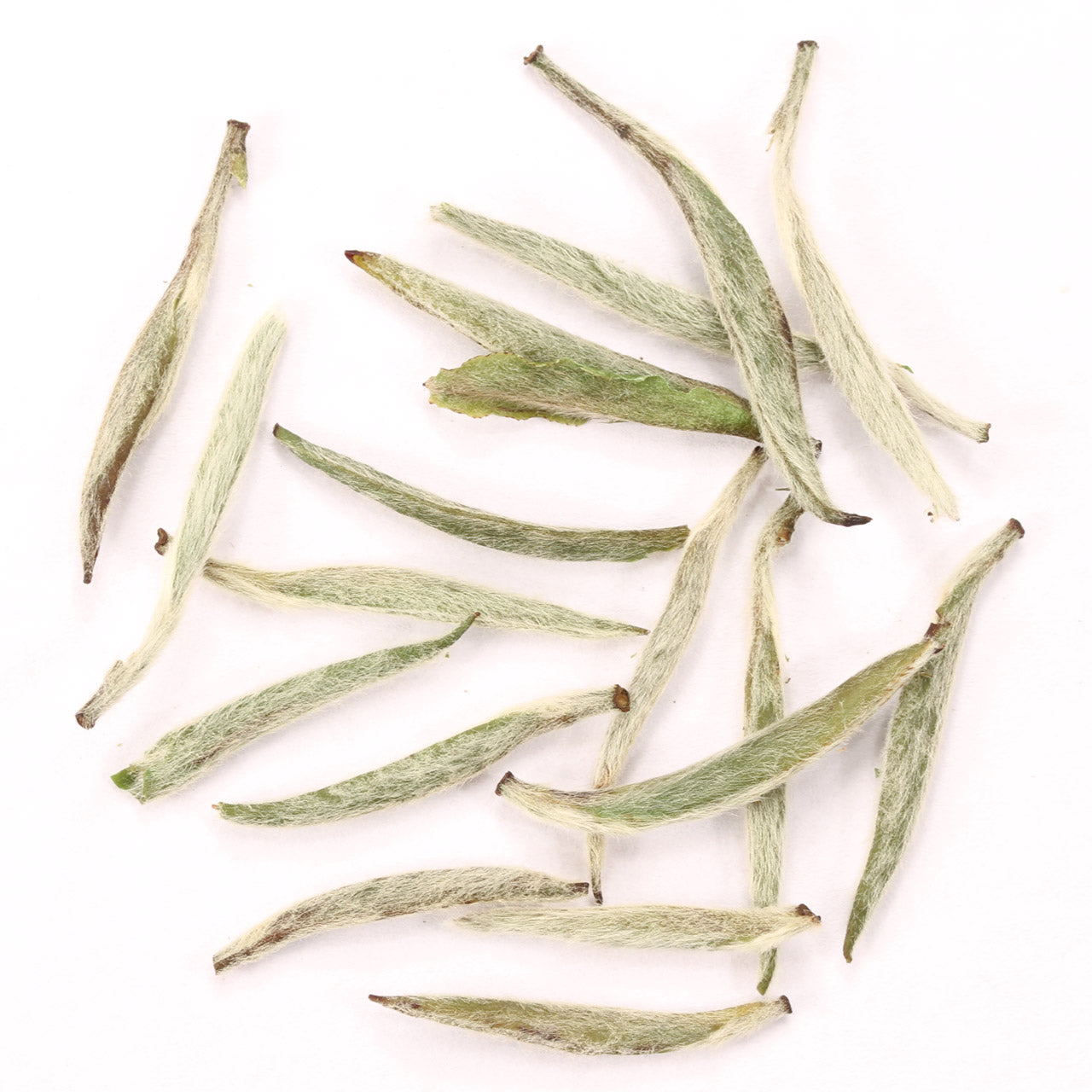 Silver Needle