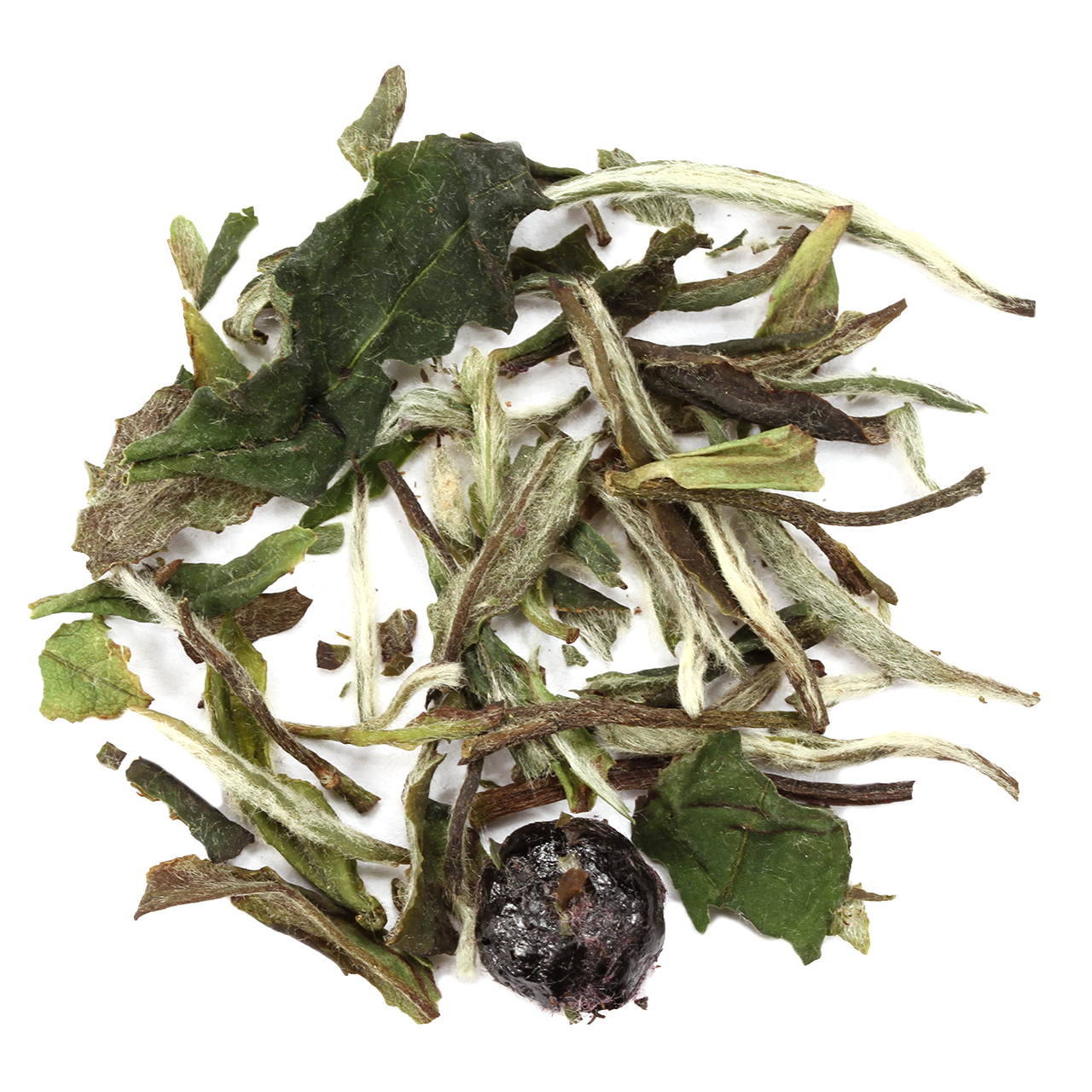 Blanco Arandano