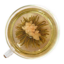 Cargar imagen en el visor de la galería, Jasmine Bloom